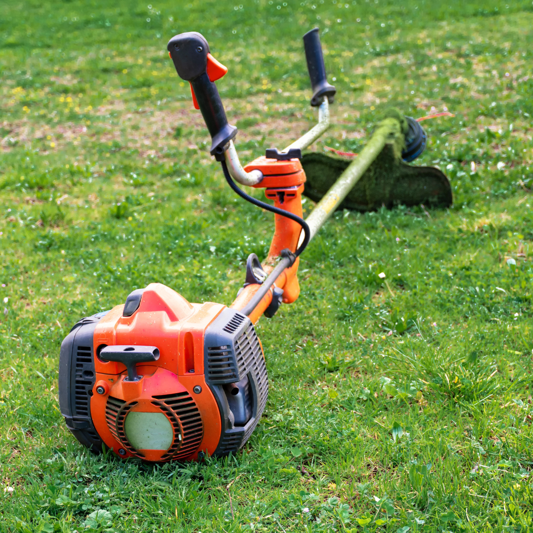 Débrousaillage - Entretien de jardin à Roanne - Paysagiste Roanne - Taille d'arbre - Elagage