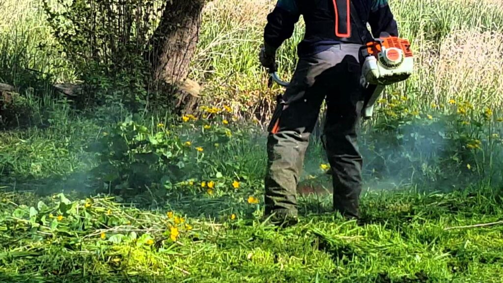 Débroussaillage des extérieurs à Roanne - Entretien de jardin - Tonte et entretien extérieur Roanne et alentours