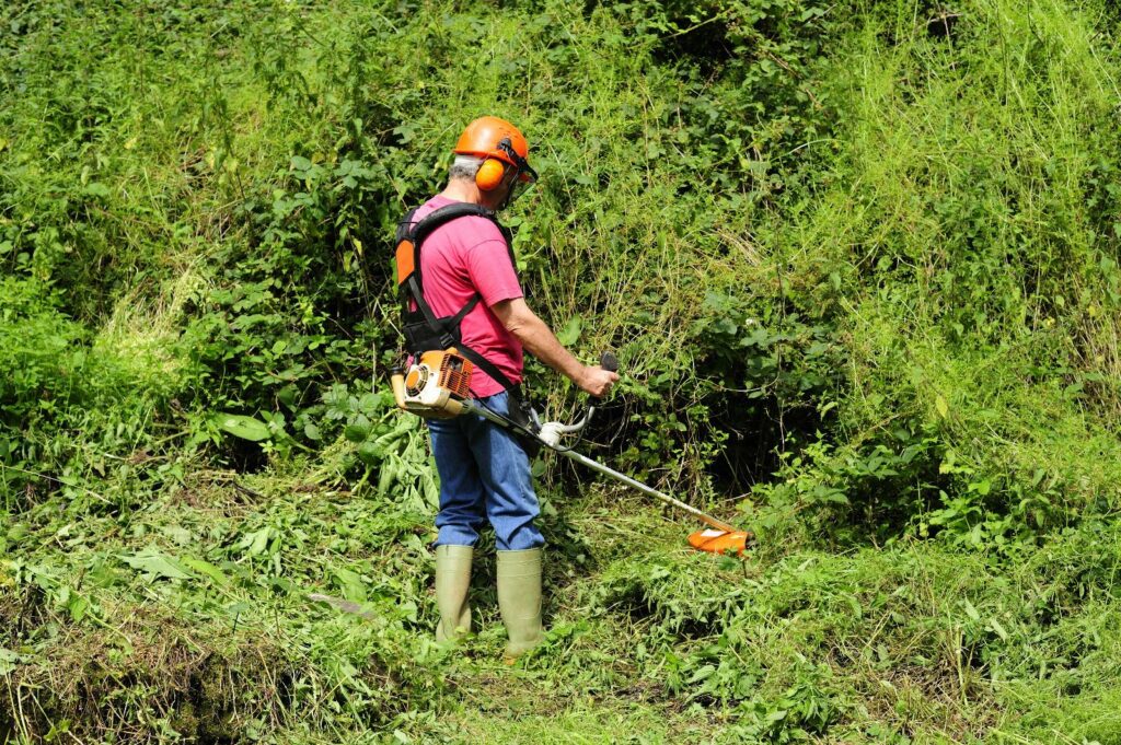 Entretien de jardin - Débroussaillage espaces verts à Roanne - Tonte et entretien extérieur Roanne et alentours