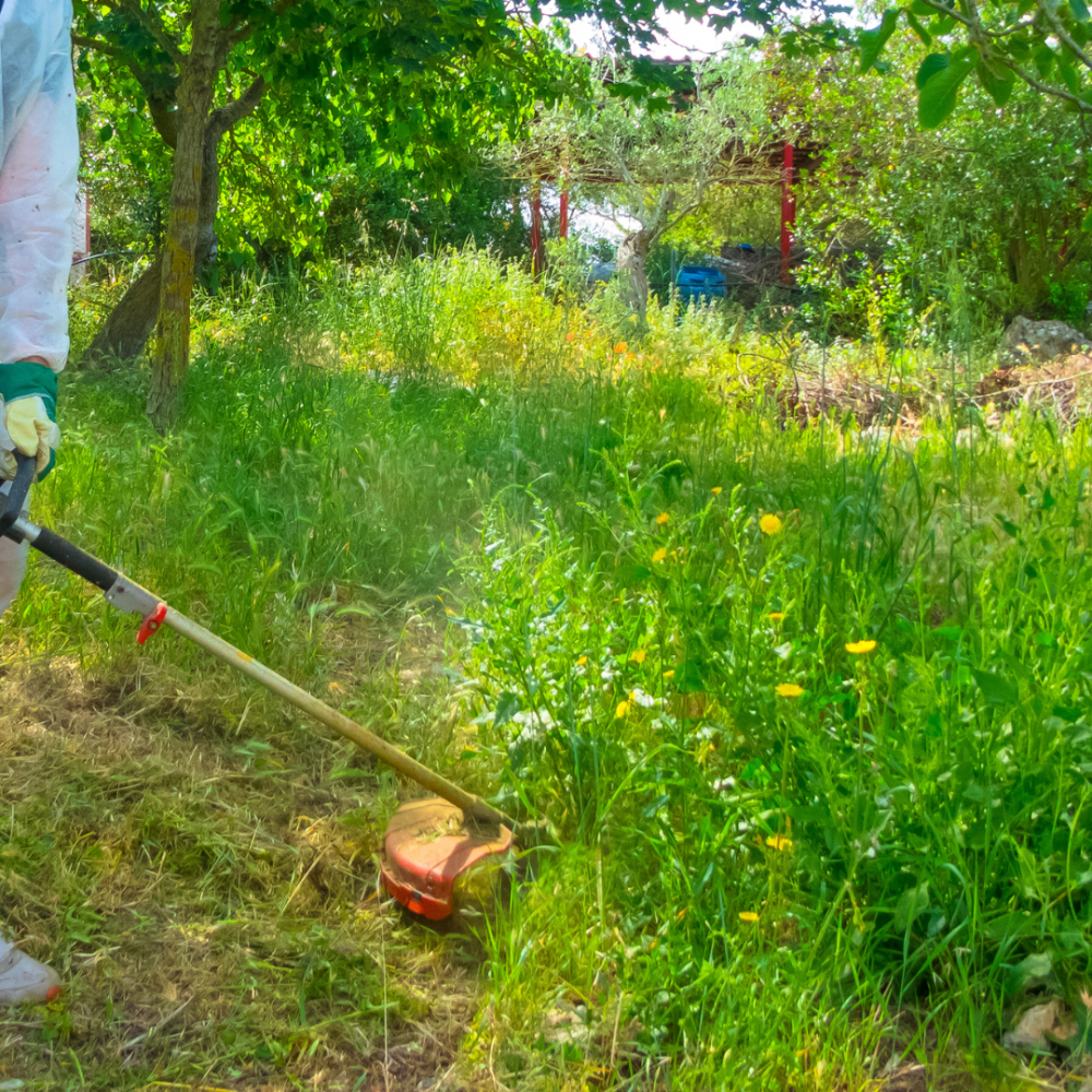 Débrousaillage à Roanne - Entretien de jardins - Tonte pelouse - Taille arbres et haies Roanne